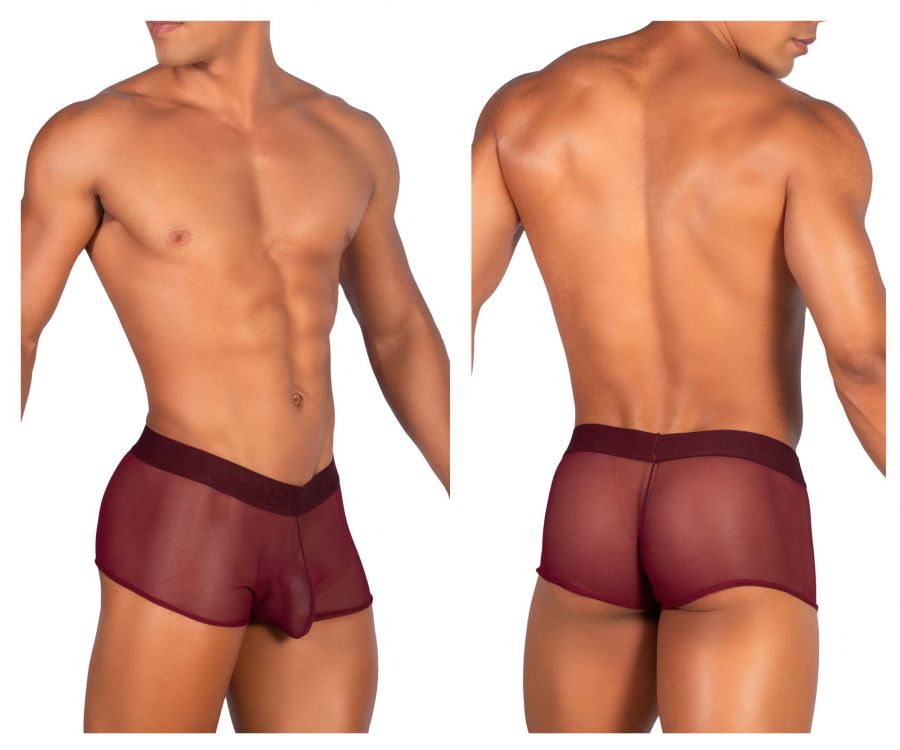 Hot Men's Fashion Briefs Underwear Male Bulge Sheer Mesh See